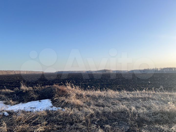 Участок 8 сот. (СНТ, ДНП)