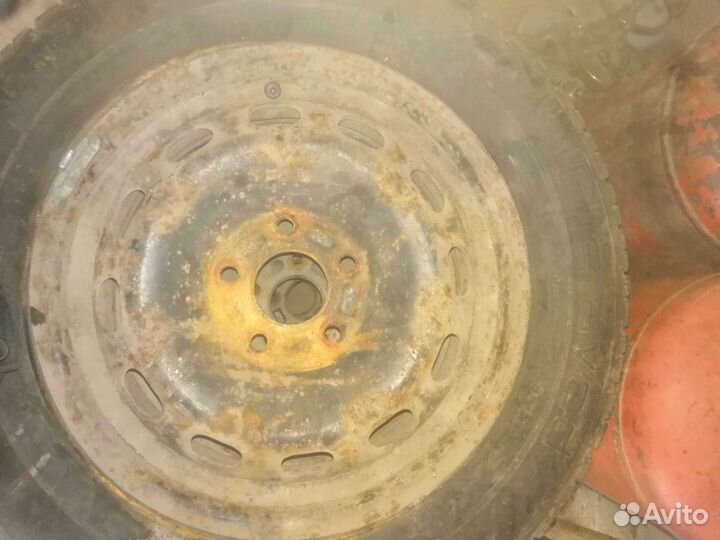 Gislaved Nord Frost 65Q 195/65 R15