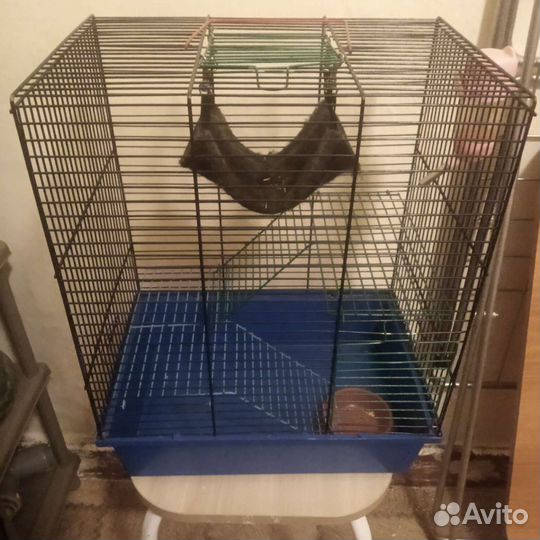 Клетка для крысы
