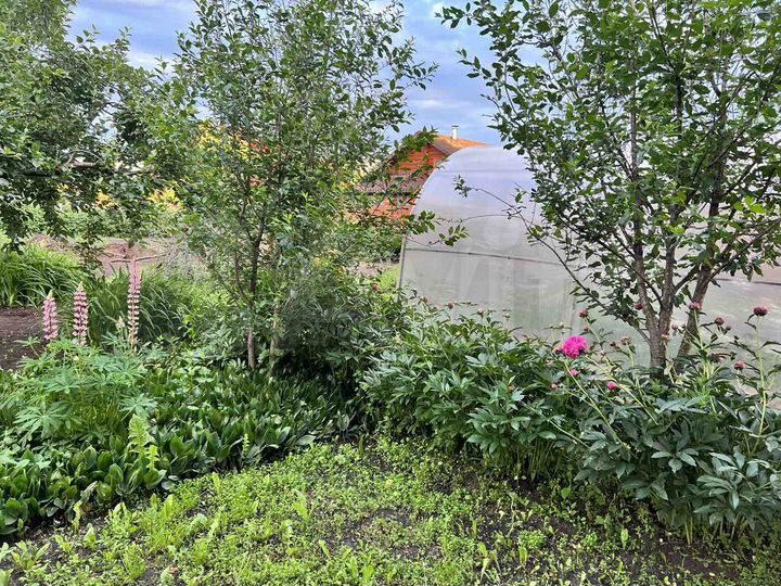 Дом 30 м² на участке 13,5 сот.