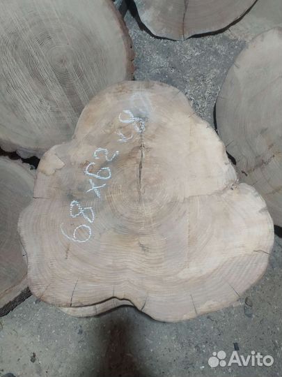 Спилы дерева