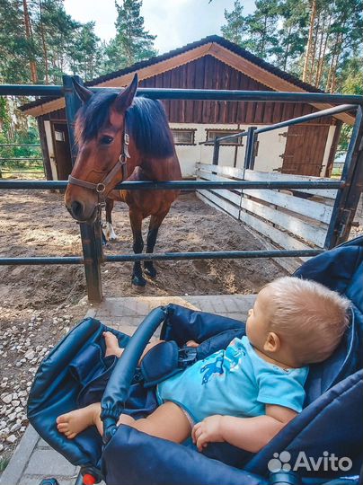 Коляска noordline olivia sport premium 3 В 1