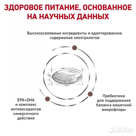 Royal Canin (вет.корма) для собак при нарушении пи