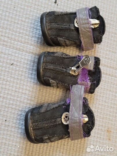 Обувь для маленьких собак