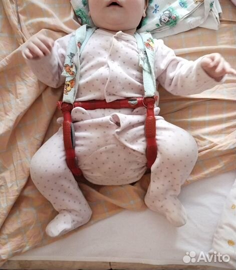 Шина Виленского