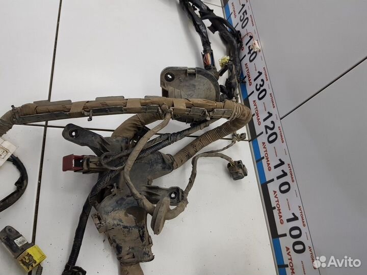 Электропроводка под капот (Kia Cerato)