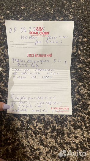 Котик(5-6 месяцев)