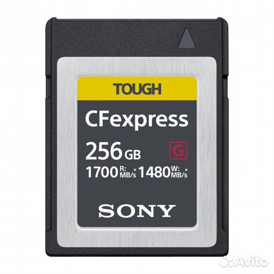 Sony CEB-G256 GB type B 1700 R / 1480 W
