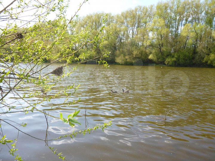 Участок 5 га (СНТ, ДНП)