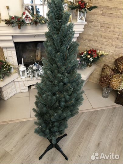 Ель голубая 150см