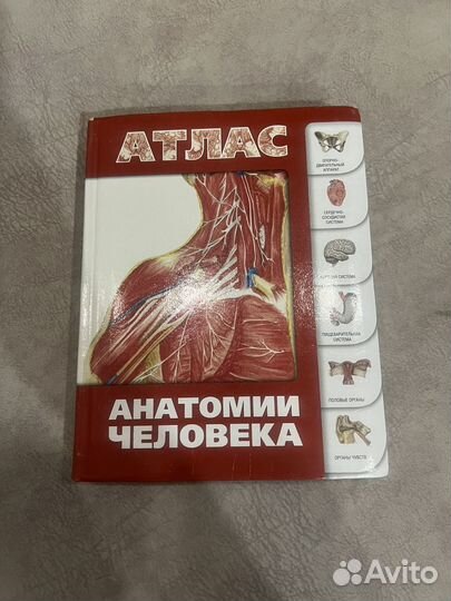 Атлас по анатомии человека