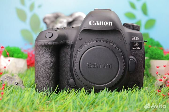 Canon EOS 5D Mark IV Body ID553