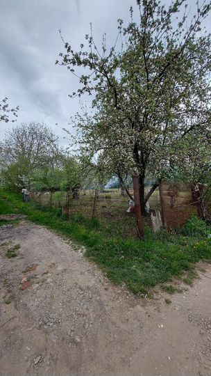 Участок 10 сот. (СНТ, ДНП)