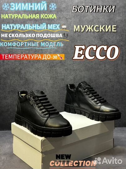 Ботинки мужские зимние: Ecco с мехом