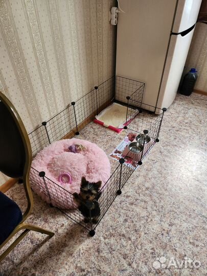 Вольер для собак в квартиру