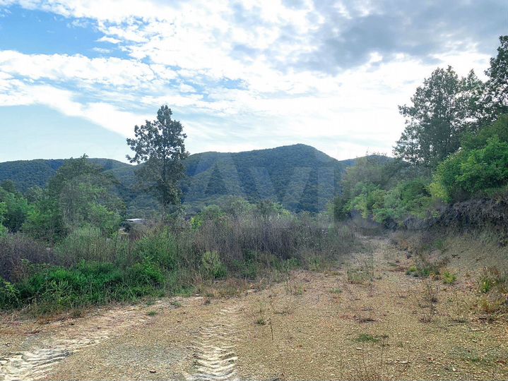 Участок 5,9 сот. (СНТ, ДНП)