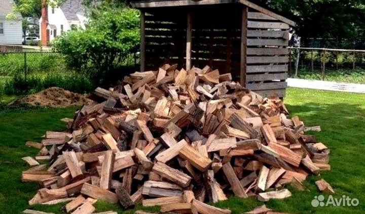 Дрова со Всеволожска