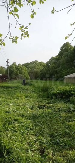 Дом 50 м² на участке 14 сот.