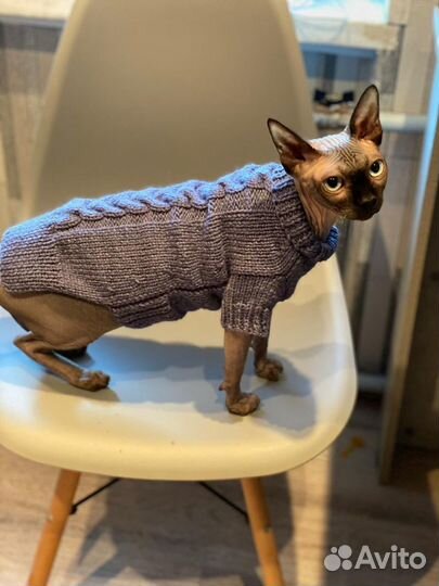 Свитер для сфинкса ручной работы