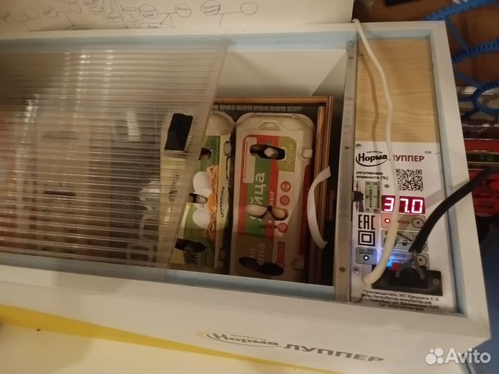 Инкубатор для яиц автоматический Норма Луппер