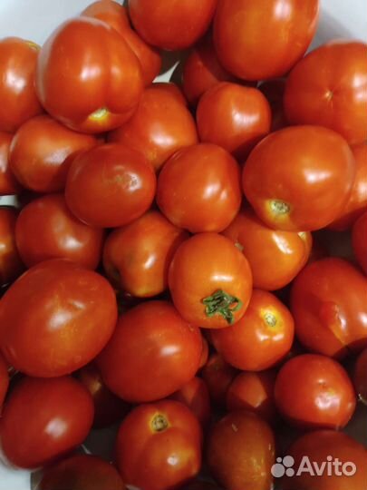 Помидоры сливки дачные