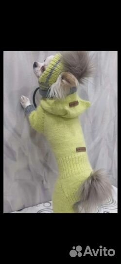 Вязаная одежда для собачек и кошек