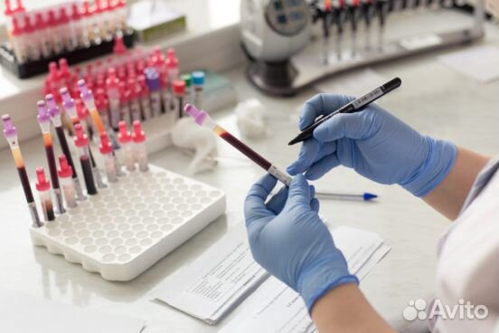 Клинико-диагностическая лаборатория