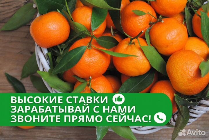 Упаковщик фруктов вахта Оплата проезда