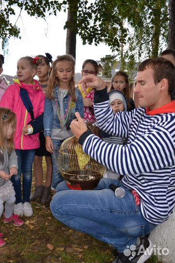 Квесты / Вечеринки / День рождения / Мытищи