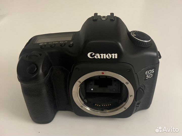 Canon mark i body