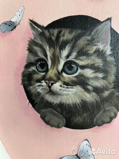 Картины котята 20х30