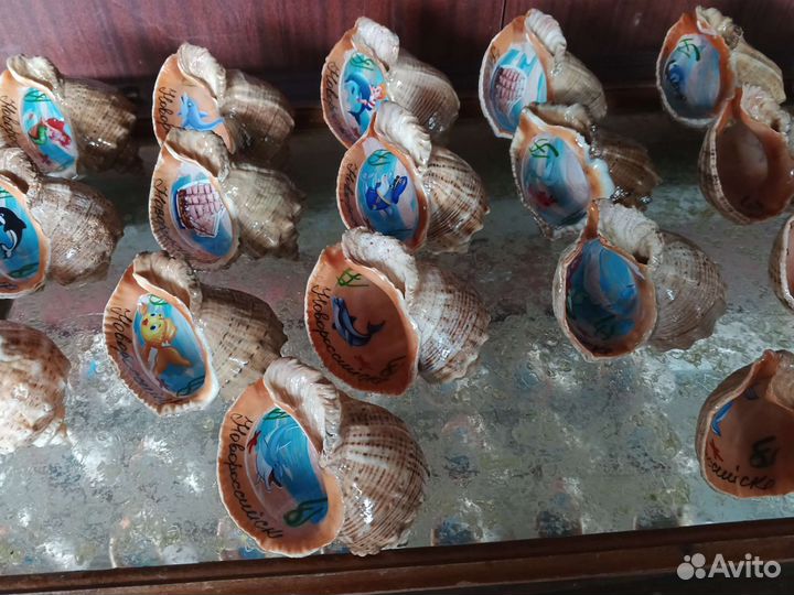 Ракушка Рапана крупный 10-11см