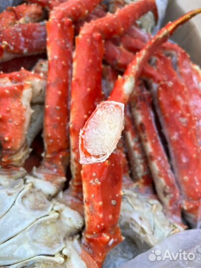 Краб Камчатский размер L