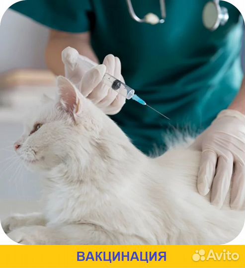 Врач-ветеринар. Выезд на дом круглосуточно