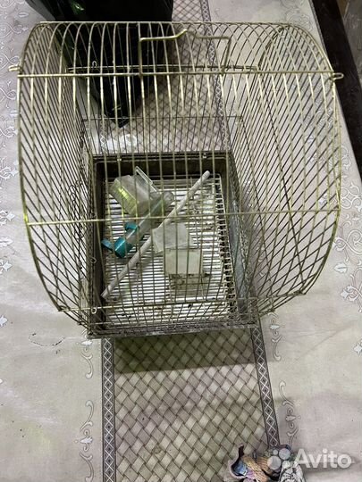 Клетка для попугая