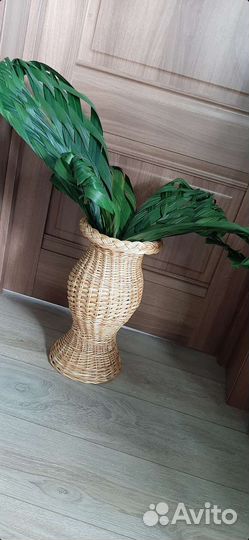 Декор (ветки цикаса высушенные )