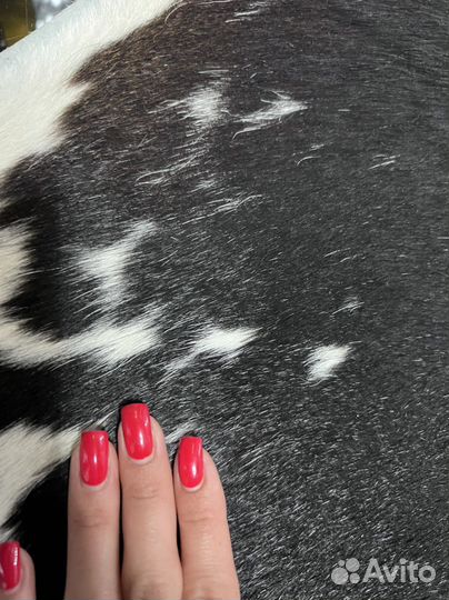 Ковер коровья шкура