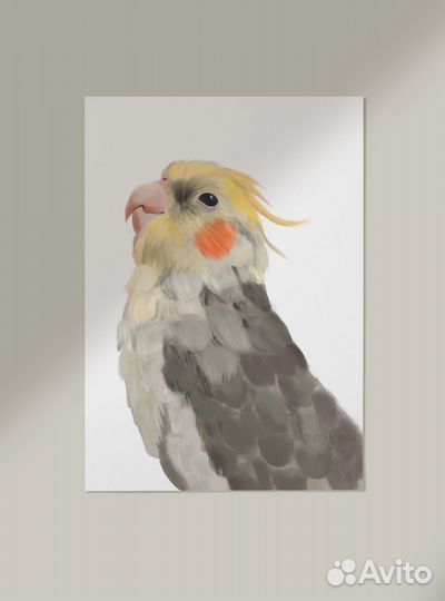 Портрет питомца художник иллюстратор