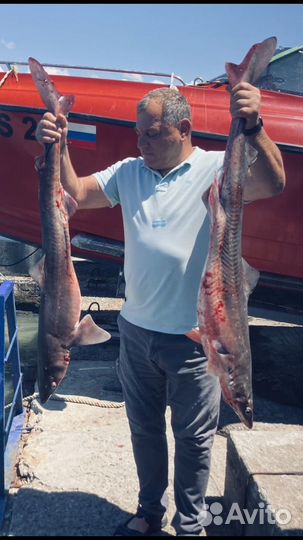 Морская рыбалочка