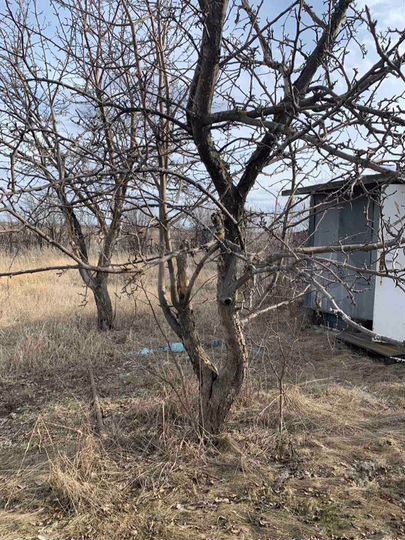 Участок 6 сот. (СНТ, ДНП)