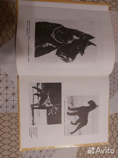 Юнг В. Шнауцеры и пинчеры / книга /собаки