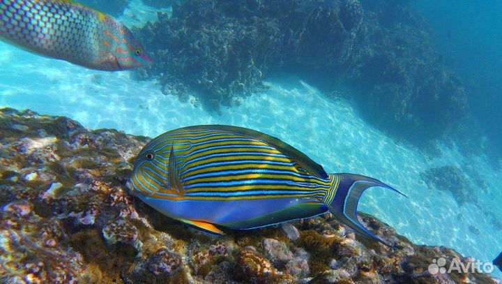 Экшн камера V50Pro 4k