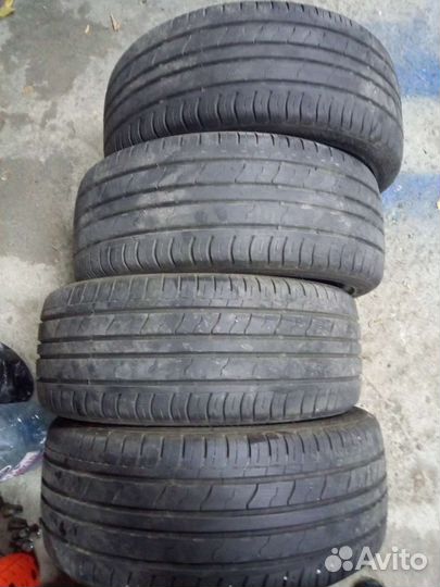 Royal Black Royal Performance 205/40 R17