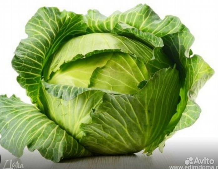 Капуста с поля