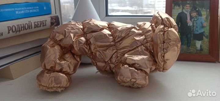 Комбинезон на маленькую собачку