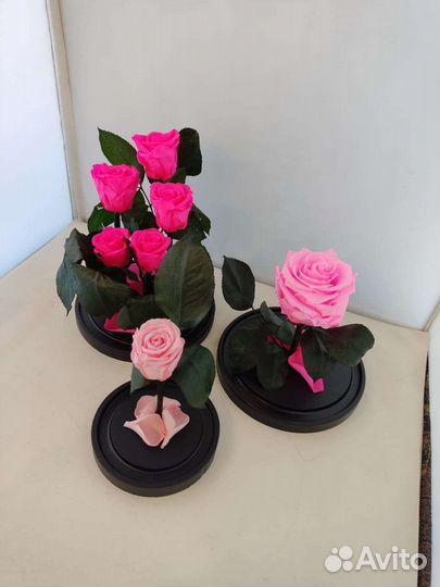 Розы оптом