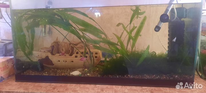 Аквариум