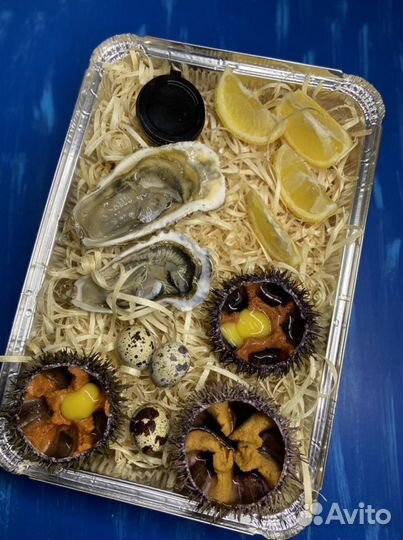 Устрицы живые