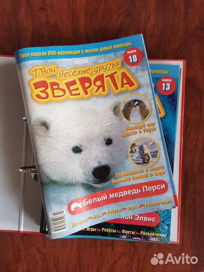 Твои весёлые друзья зверята, Dvd и журналы