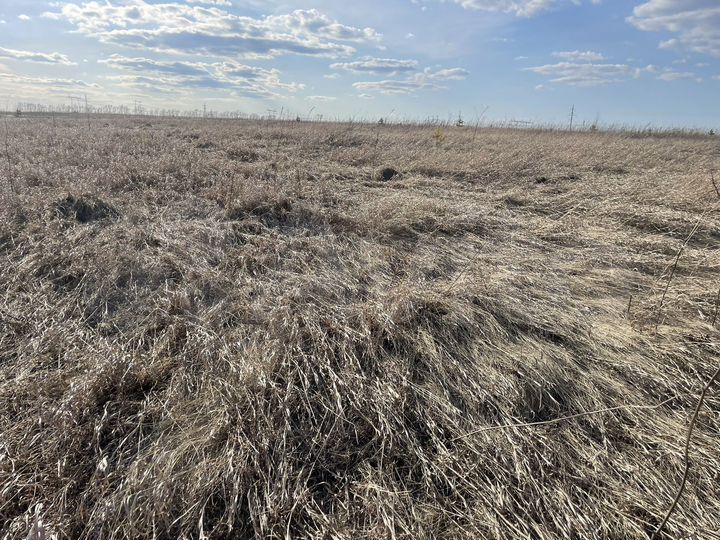 Участок 10 сот. (СНТ, ДНП)